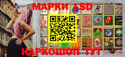 гашик Камышлов